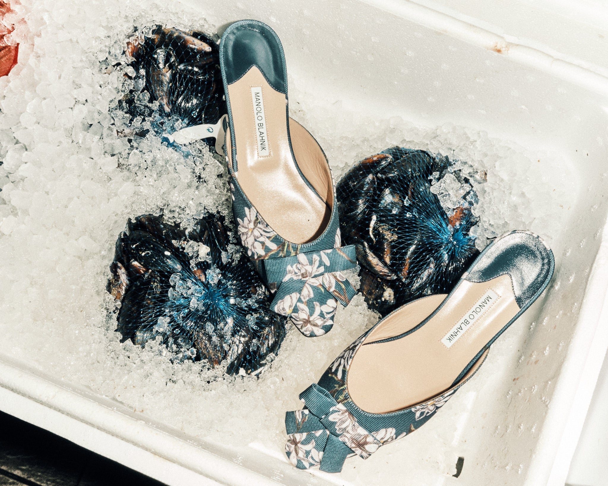 Manolo Blahnik x Emilia Wickstead