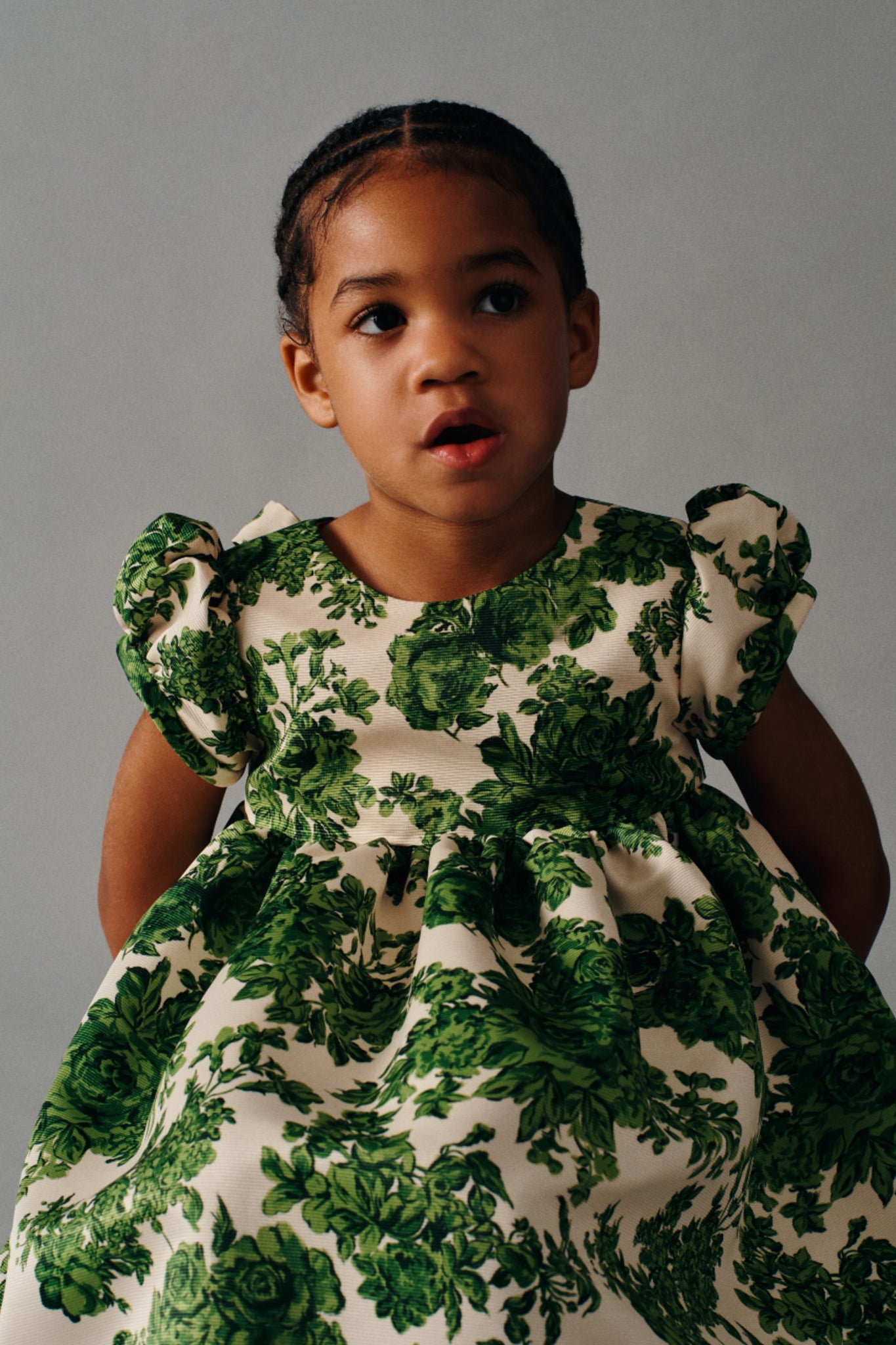 Dorothy Dress In Green Rose Garden Taffeta Faille