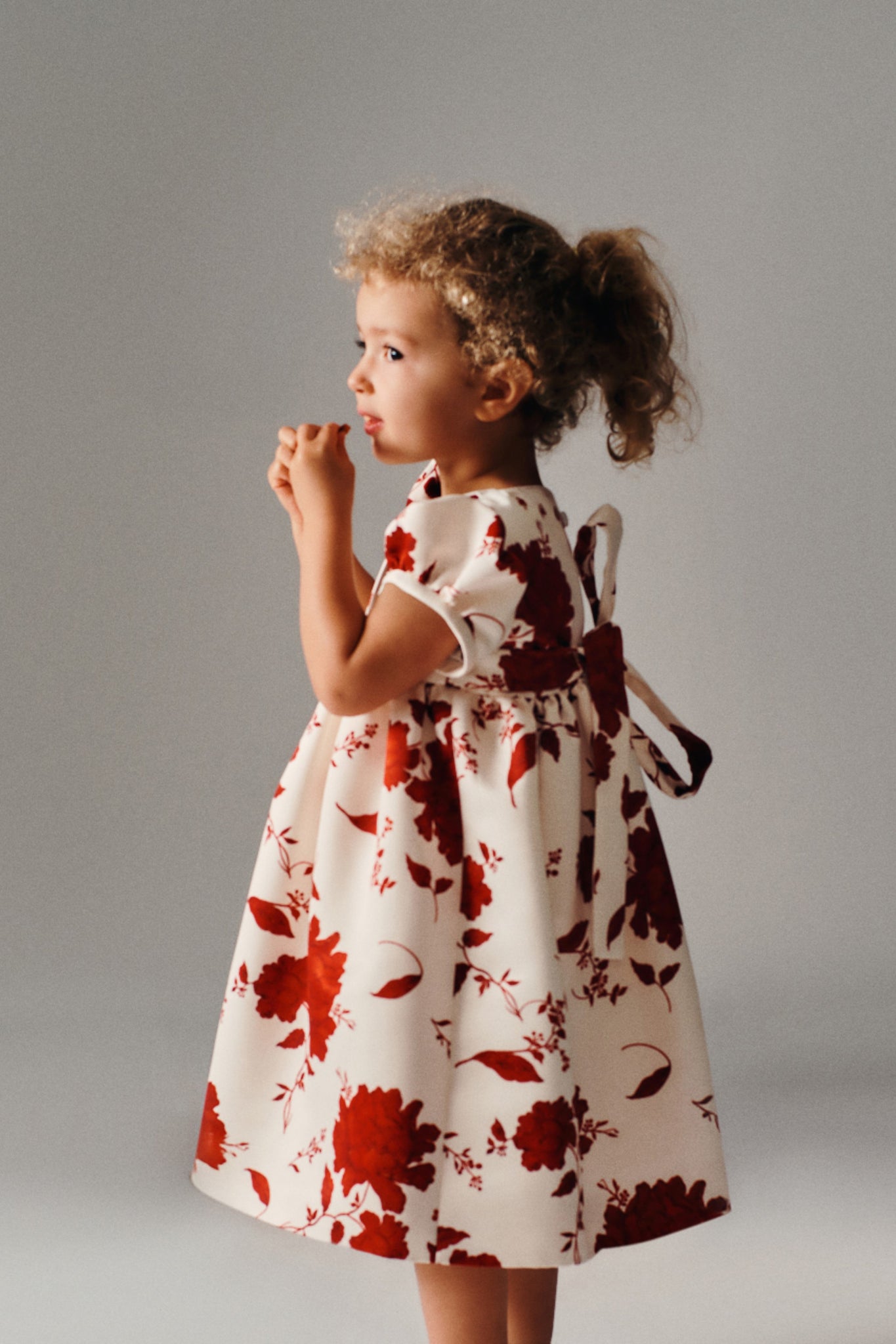 Dorothy Dress In Red Rose & Cream Taffeta Faille