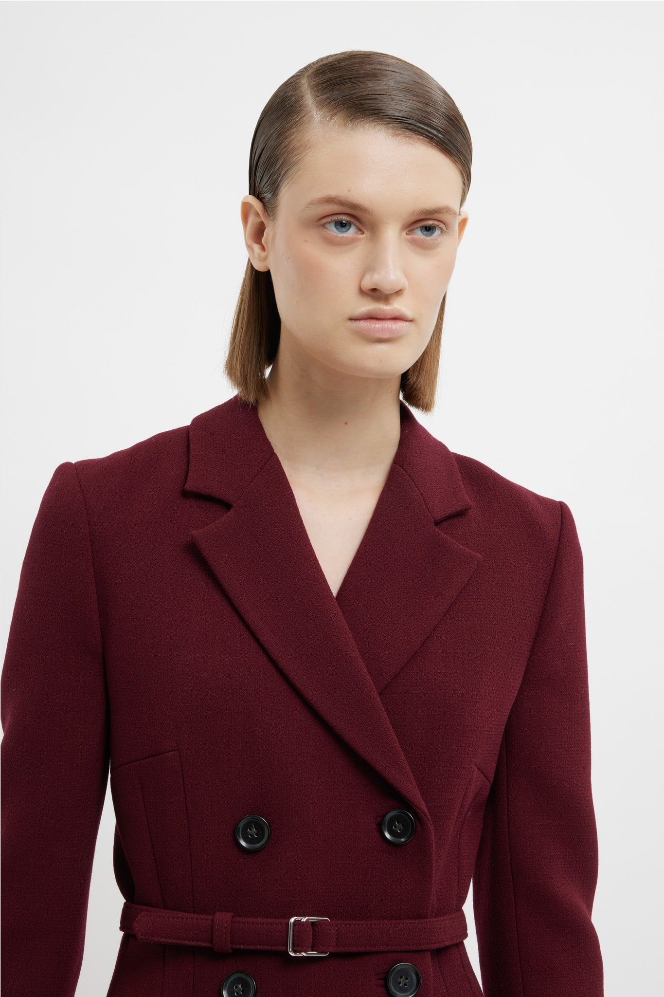 Chaney Dress In Burgundy Double Crepe | Emilia Wickstead Chaney Dress In Burgundy Double Crepe | Emilia Wickstead