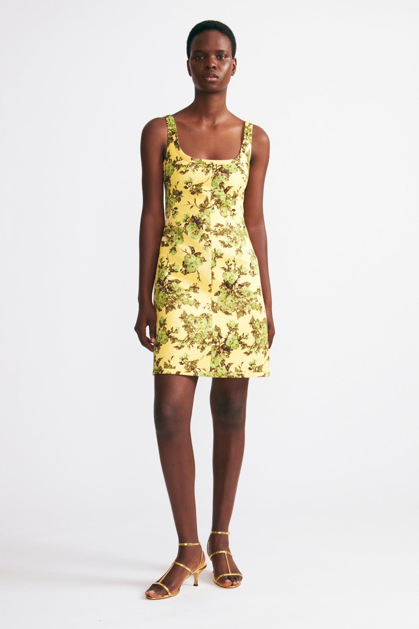 Emilia wickstead floral dress best sale