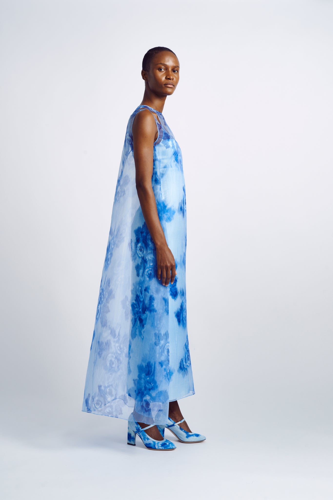Selina Dress| Blue Floral Print Dress with Printed Chiffon Overlayer | Emilia Wickstead