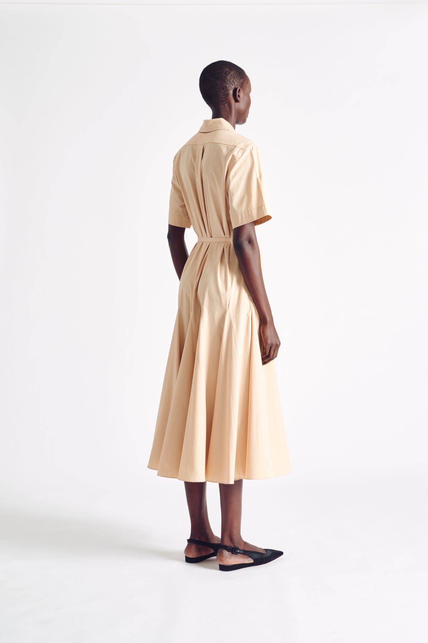 Marina Dress | Beige Cotton Short Sleeve Fit-and-Flare Midi Dress | Emilia Wickstead