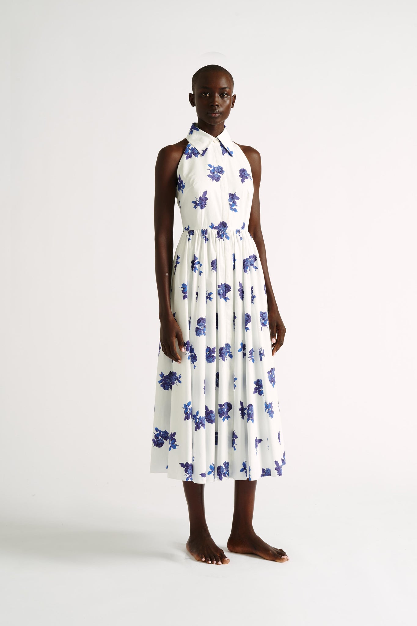 Norika Dress | Blue Rose Print Cotton Sun Dress  | Emilia Wickstead